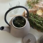 naturopathe sophrologue cours de cuisine Gouesnou Brest Guipavas Plabennec Saint Renan Lesneven Drennec Landerneau