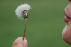  naturopathe sophrologue confiance en soi Gouesnou Brest Guipavas Plabennec Saint Renan Lesneven Drennec Landerneau